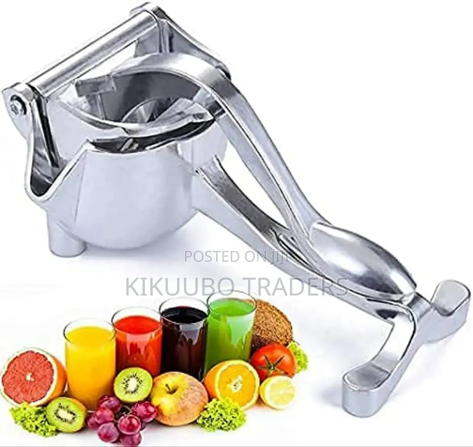 Manual Fruit Press
