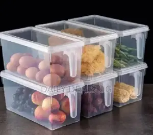 Refrigerator Containers