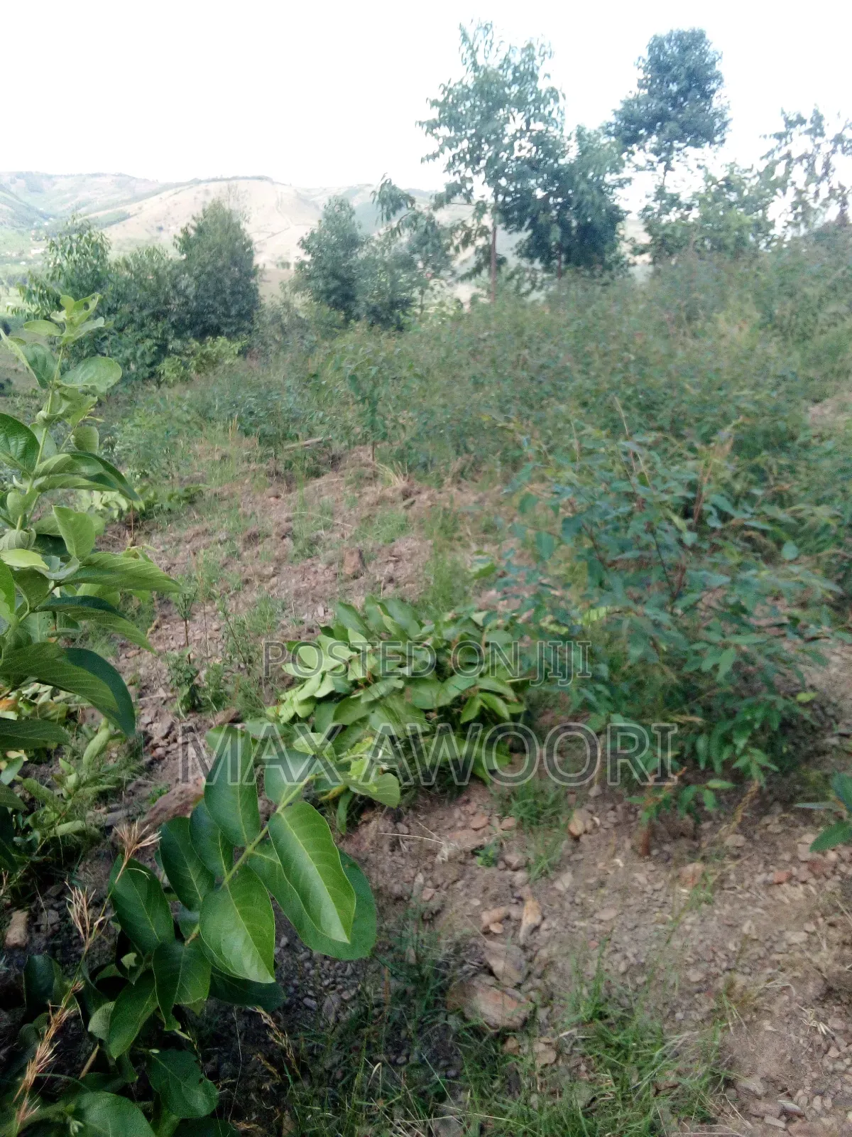 1/2 Acre for Sale in Kakoba ,Buremba 2, Mbarara