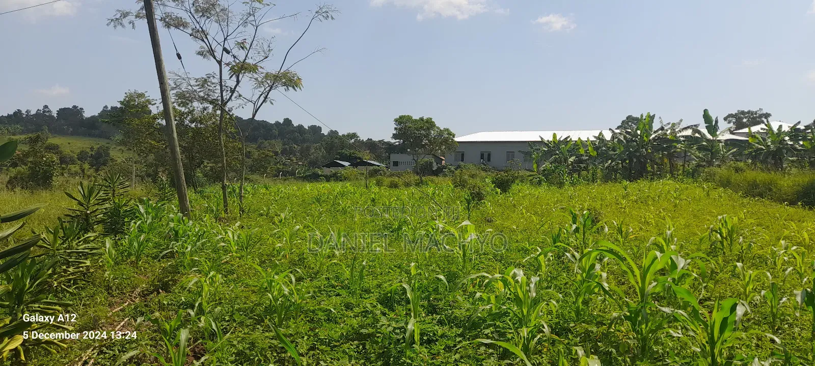 5acres Off Riley Packaging Jinja Road