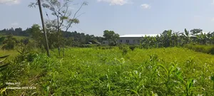 5acres Off Riley Packaging Jinja Road