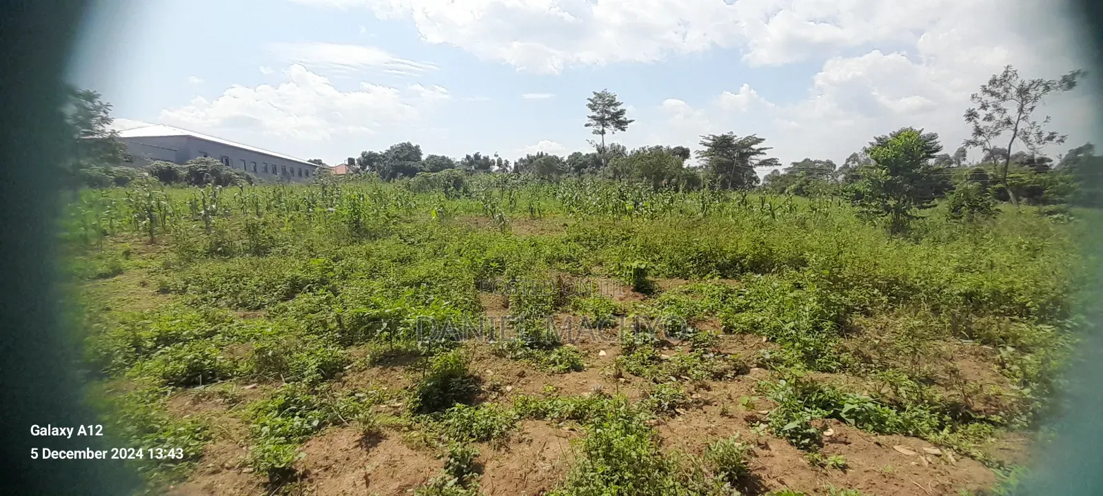 5acres Off Riley Packaging Jinja Road