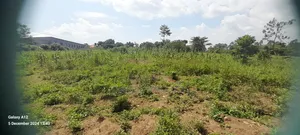5acres Off Riley Packaging Jinja Road