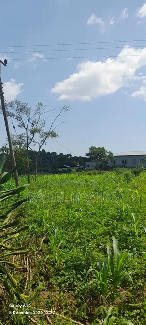 5acres Off Riley Packaging Jinja Road