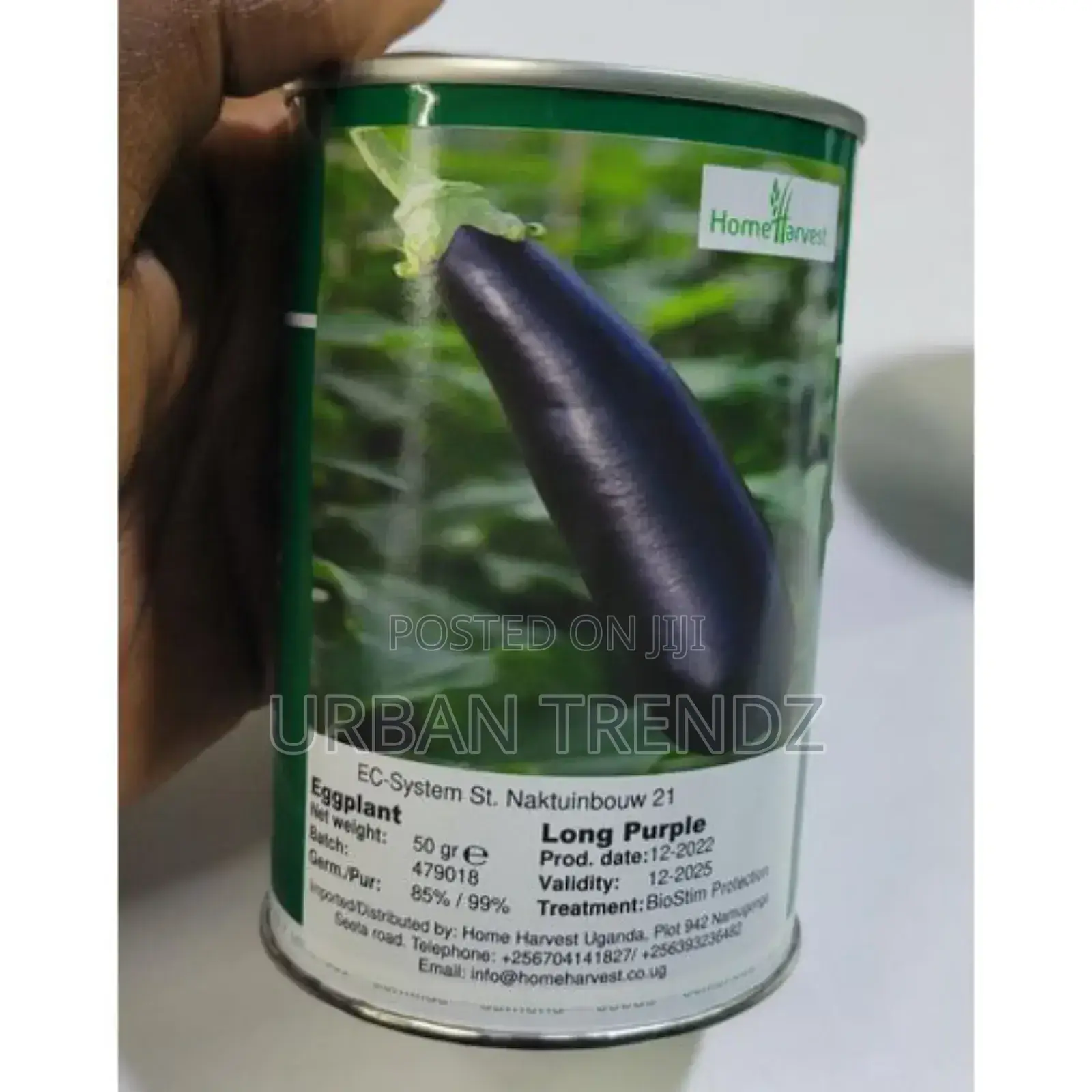 Egg Plant Seeds Long Purple 50g