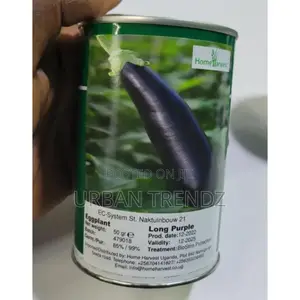 Egg Plant Seeds Long Purple 50g