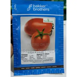 Hybrid F1 Vilani Tomato Seeds 5g
