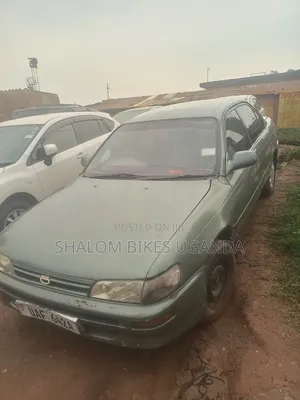 Toyota Corolla 2002 Green