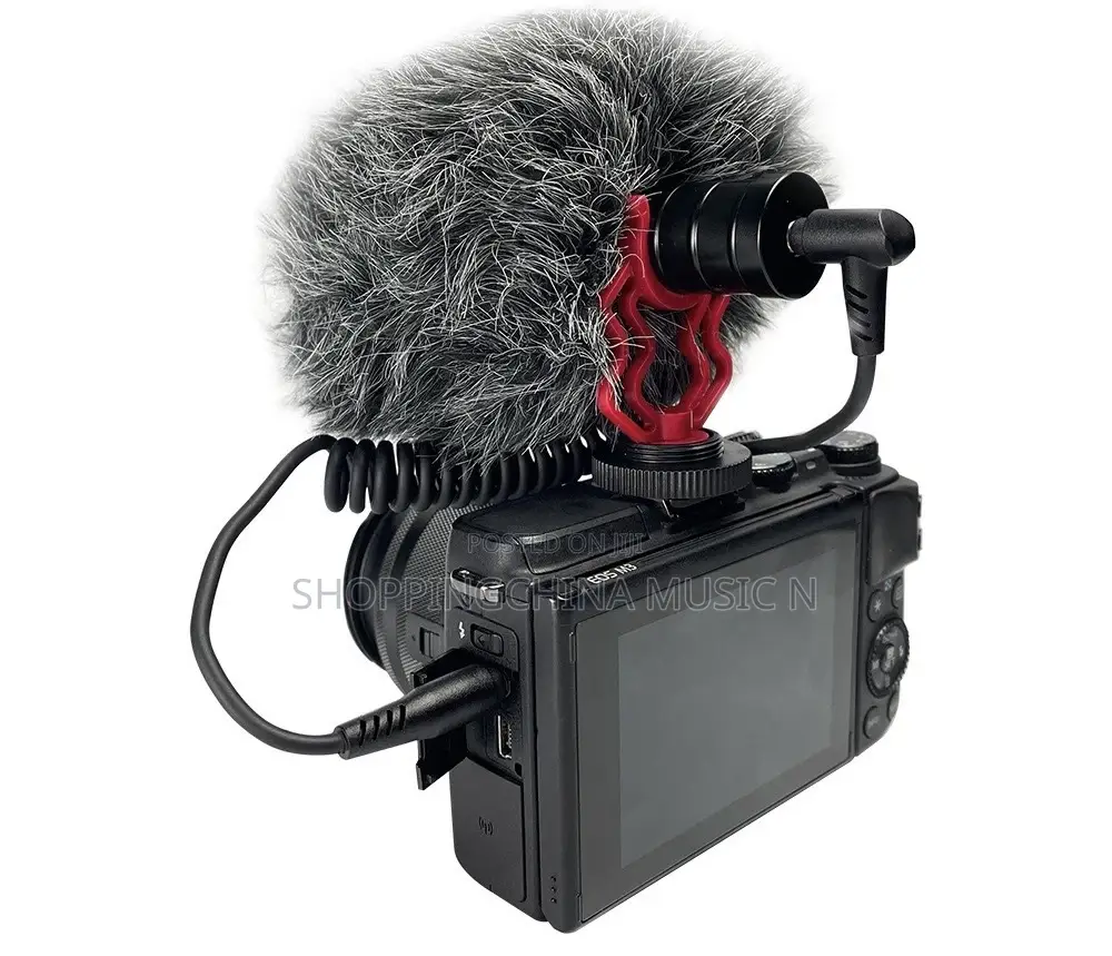 Shotgun Pickup Microphone Camera Canon Song Fuji