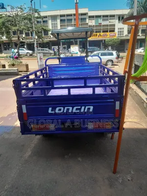Photo - New Tricycle 2024 Blue
