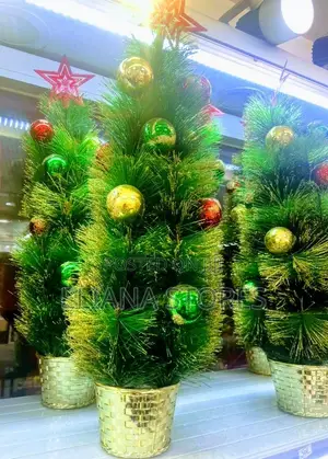 Christmas Tree/ Adorned Christmas Tree
