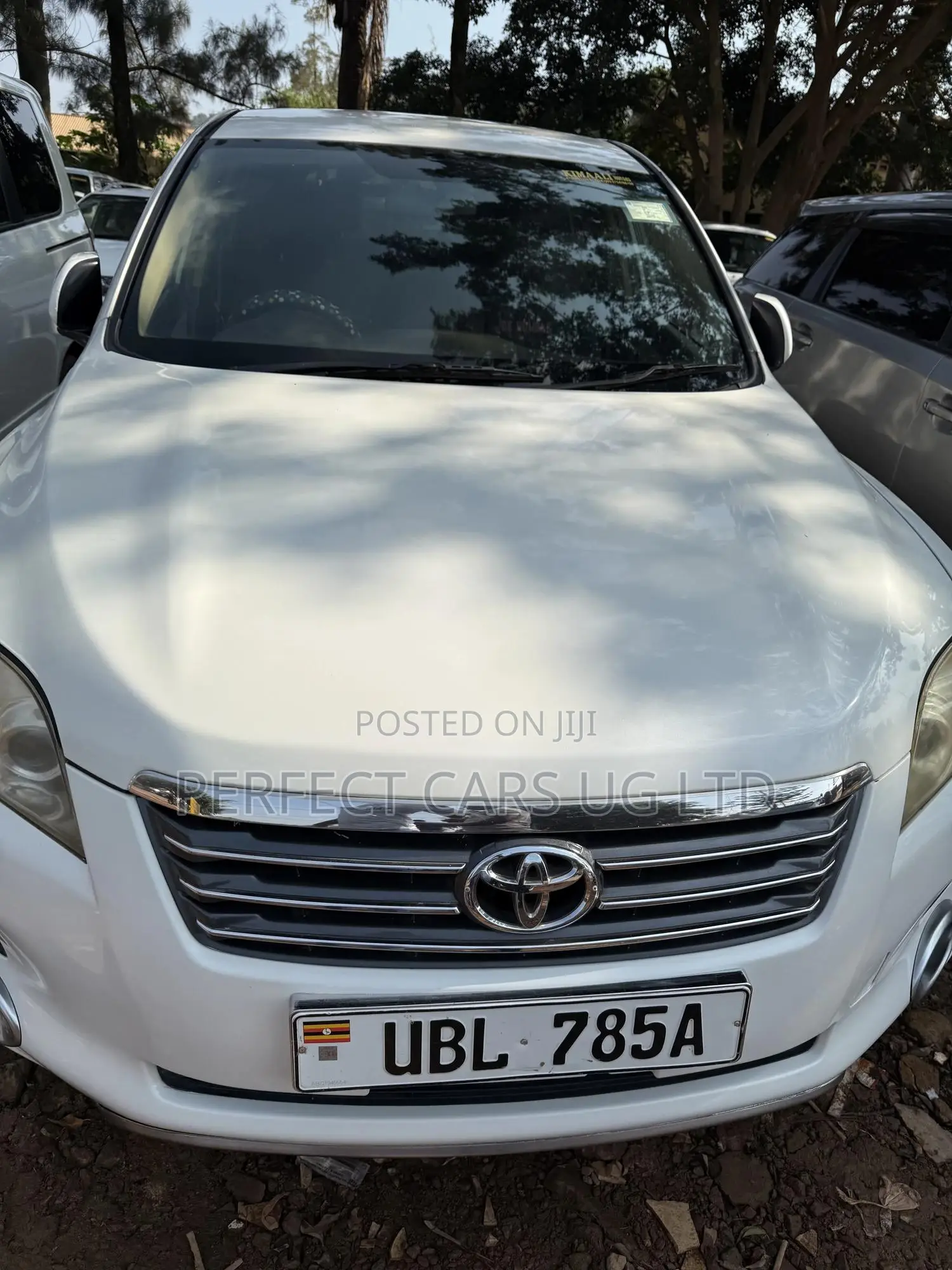 Toyota Vanguard 2008 White