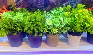 Artificial Flowers Pots