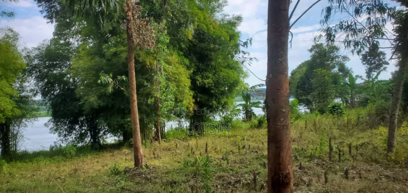 3.1 Acres Touching the Legendary River Nile,Nazigo