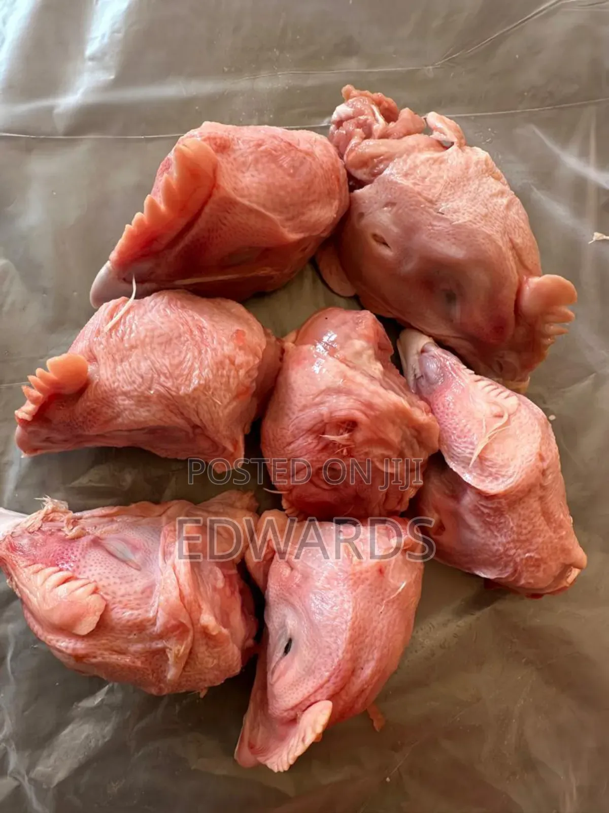 Dog Food (Heads)