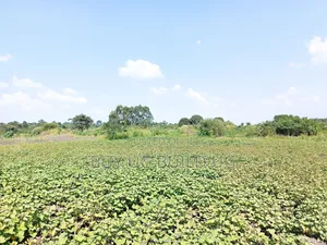 Quick Sale! 
#5acres for Sale Gayaza - Zilobw at 13m