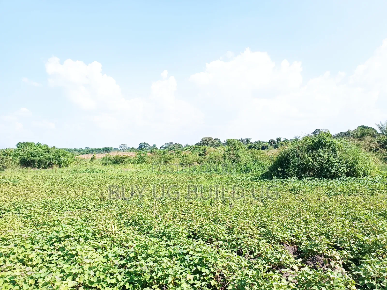 Quick Sale! 
#5acres for Sale Gayaza - Zilobw at 13m