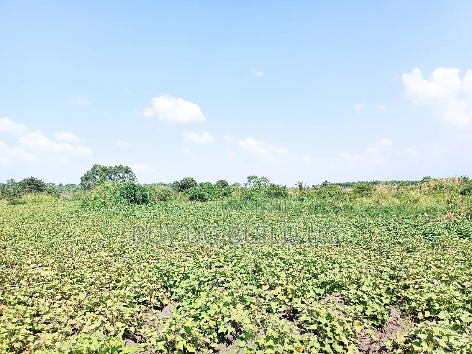 Quick Sale! 
#5acres for Sale Gayaza - Zilobw at 13m