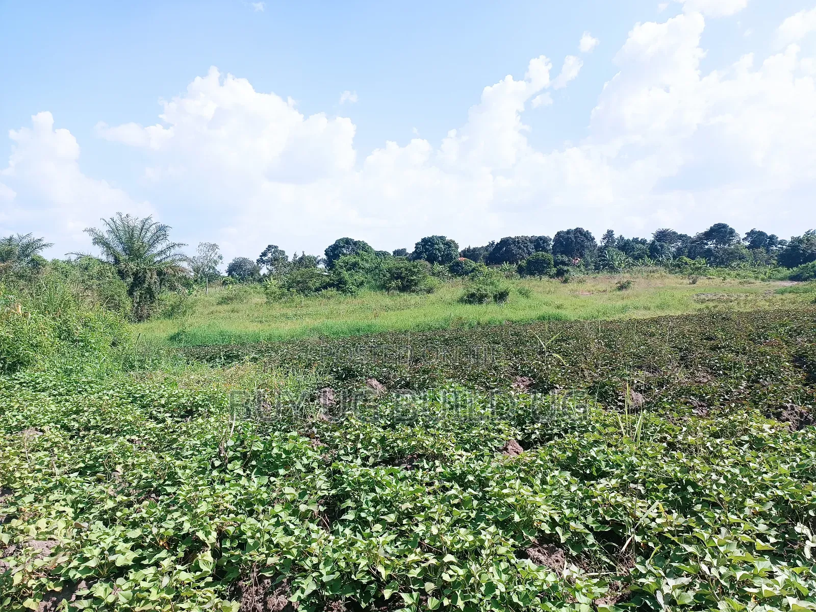 Quick Sale! 
#5acres for Sale Gayaza - Zilobw at 13m