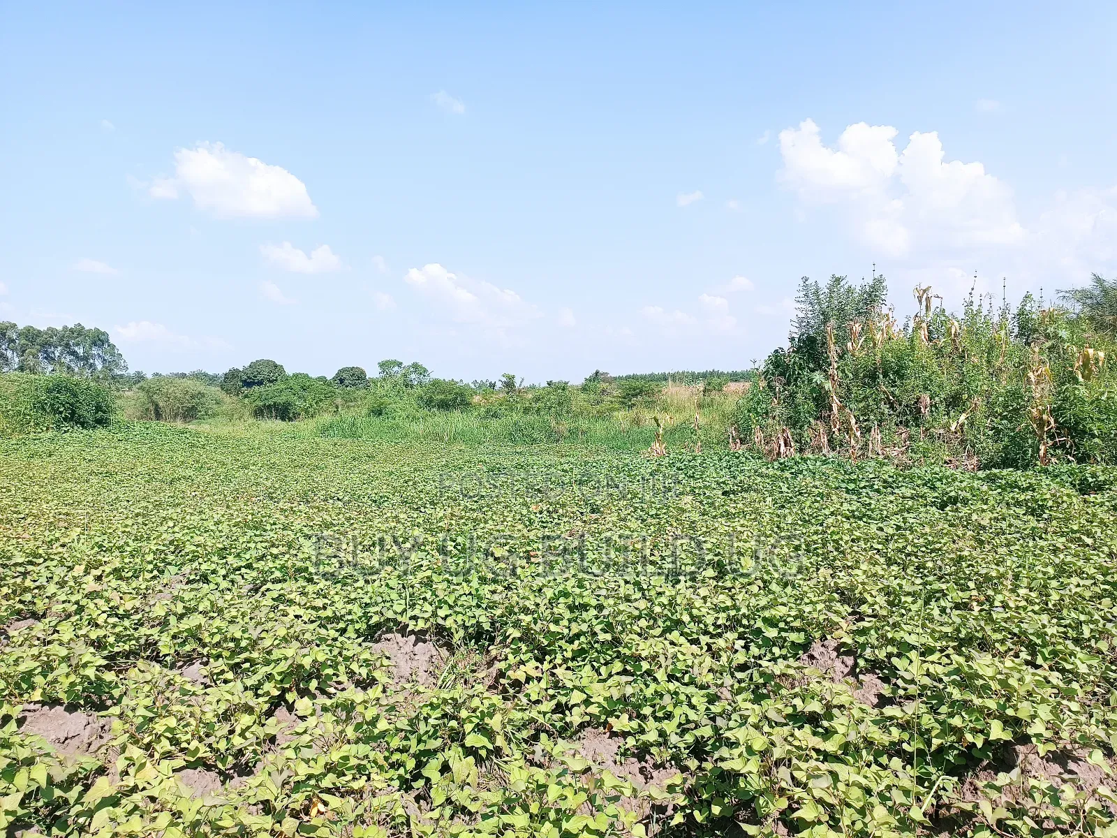 Quick Sale! 
#5acres for Sale Gayaza - Zilobw at 13m
