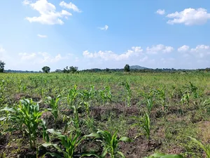 Quick Sale! 
#5acres for Sale Gayaza - Zilobw at 13m