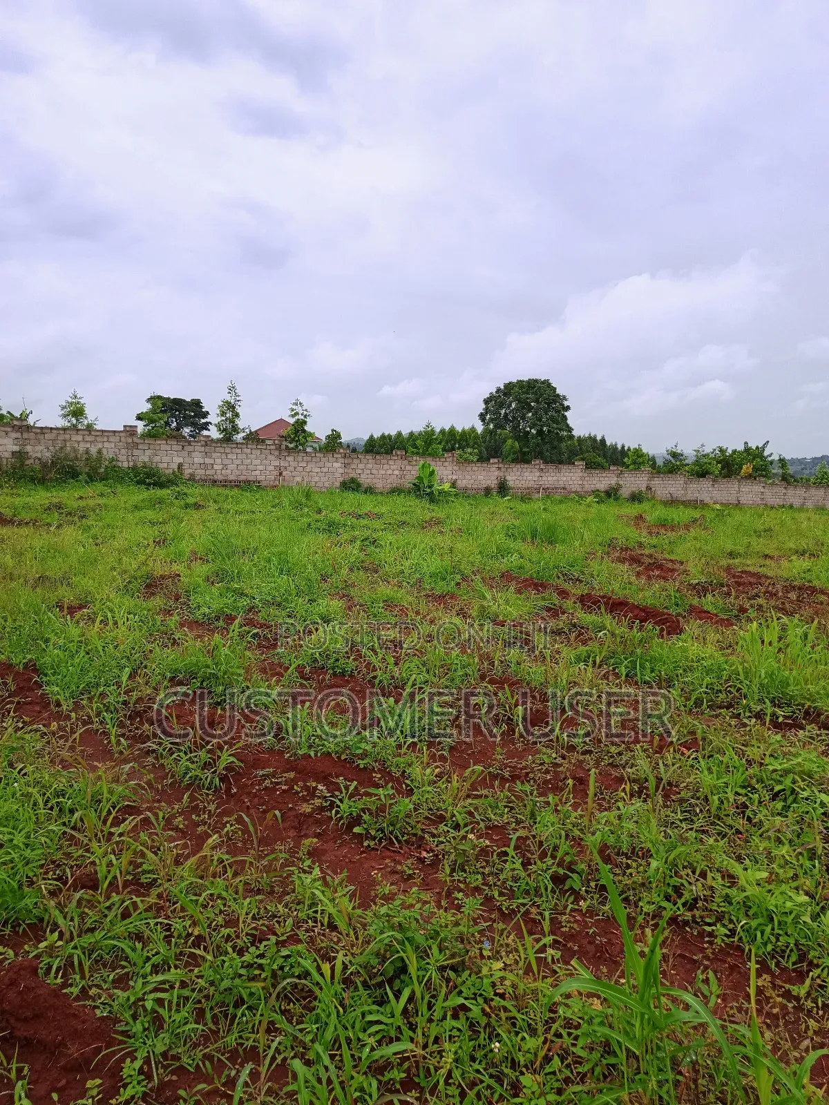 New Estate Opened at 18m Kasanje Town