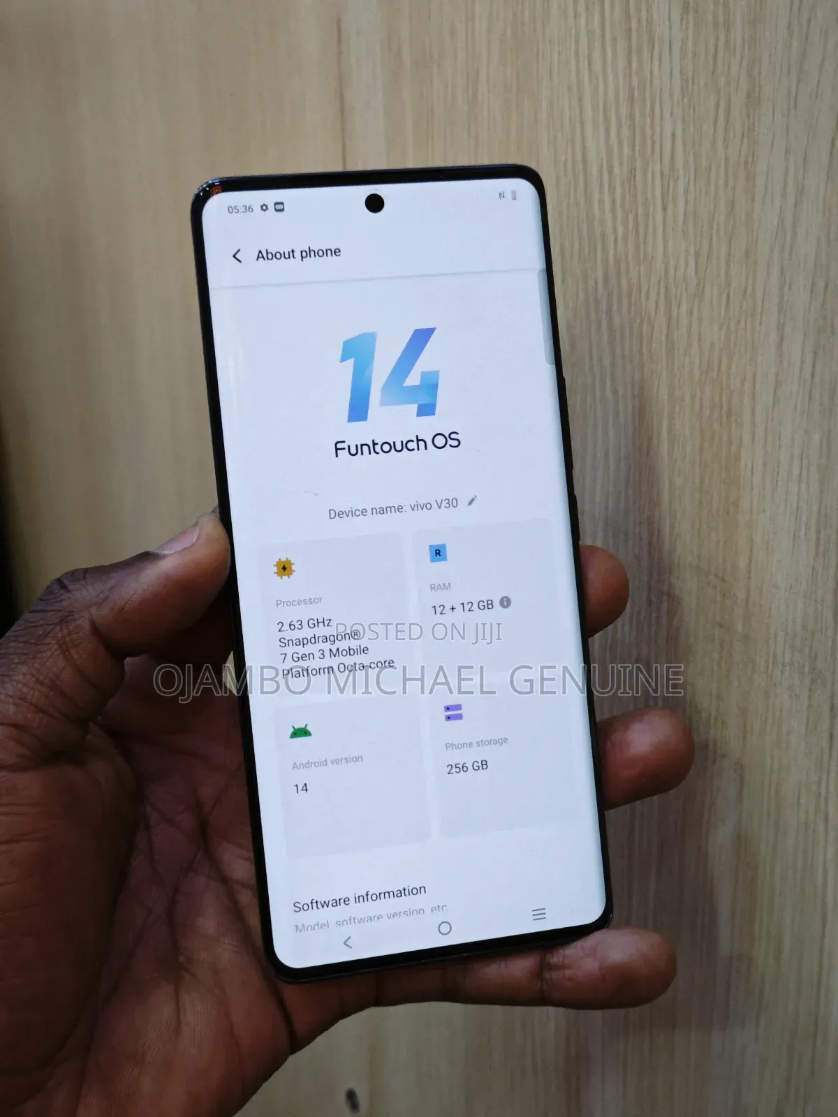 Vivo V30 5G 256 GB Green
