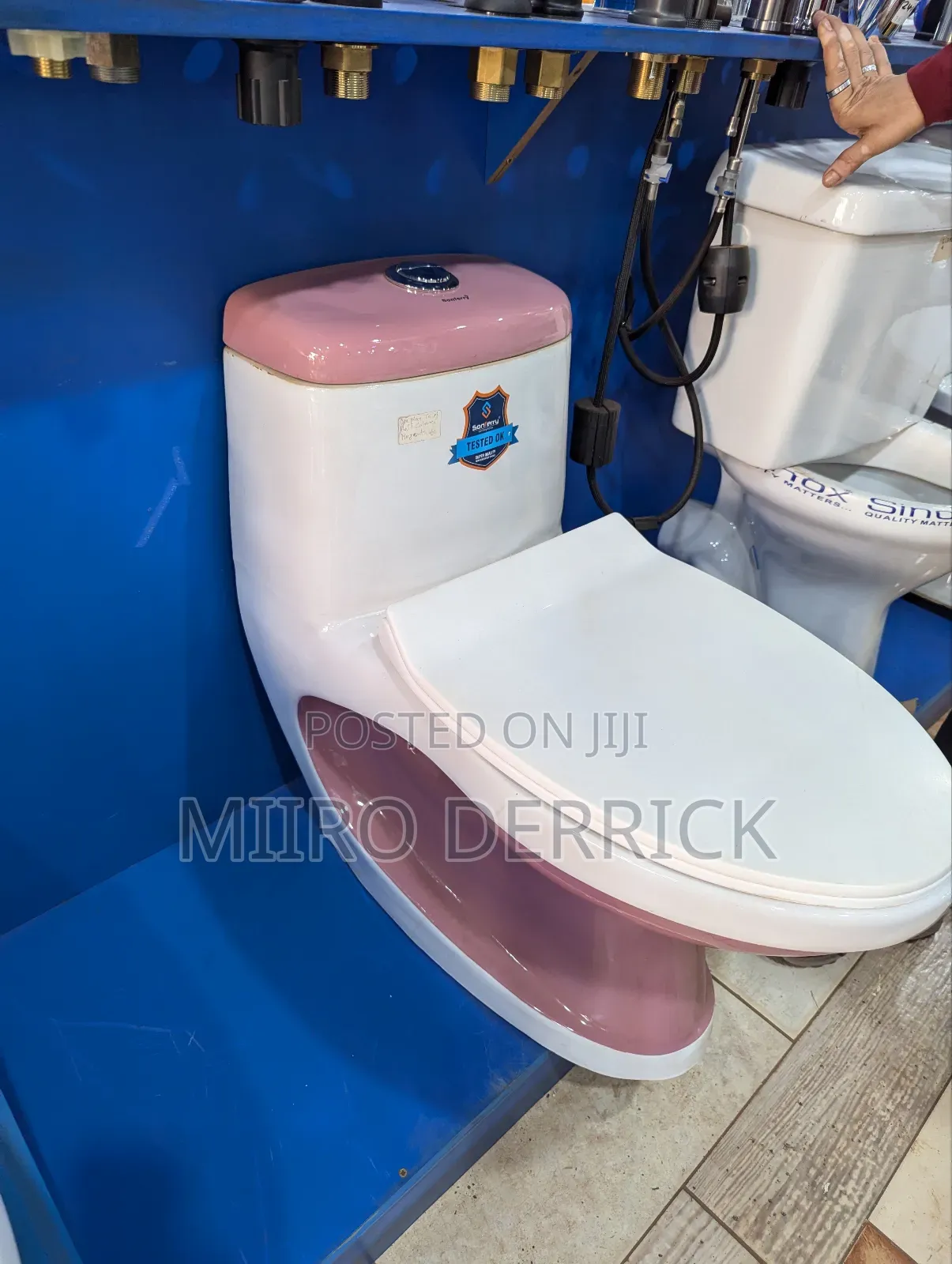 Coloured Toilets One Complete Set