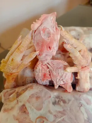 Photo - Head of Chicken