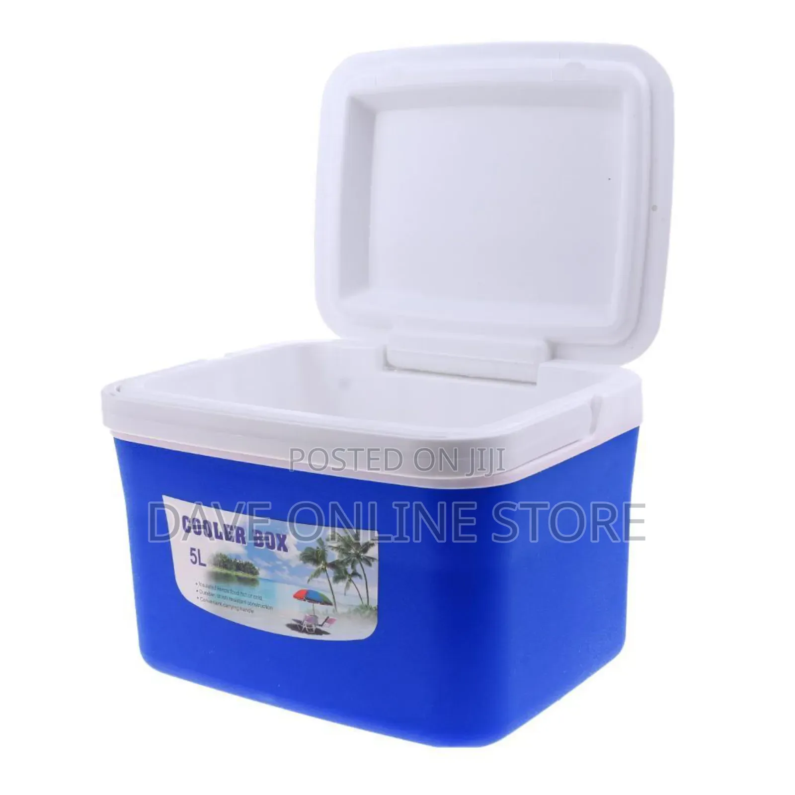 5 Litres Beverage Ice Cooler Box With Handle for Camping