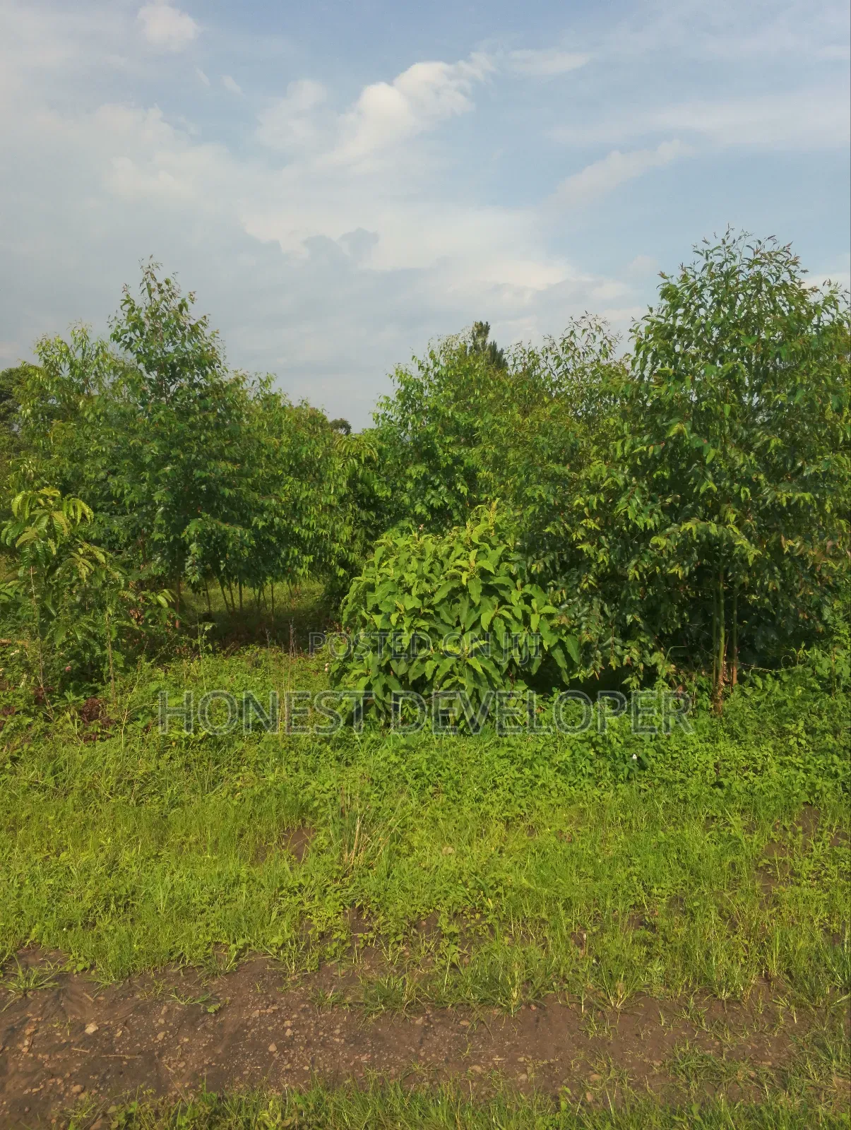 Land at Gobero Hoima Rd