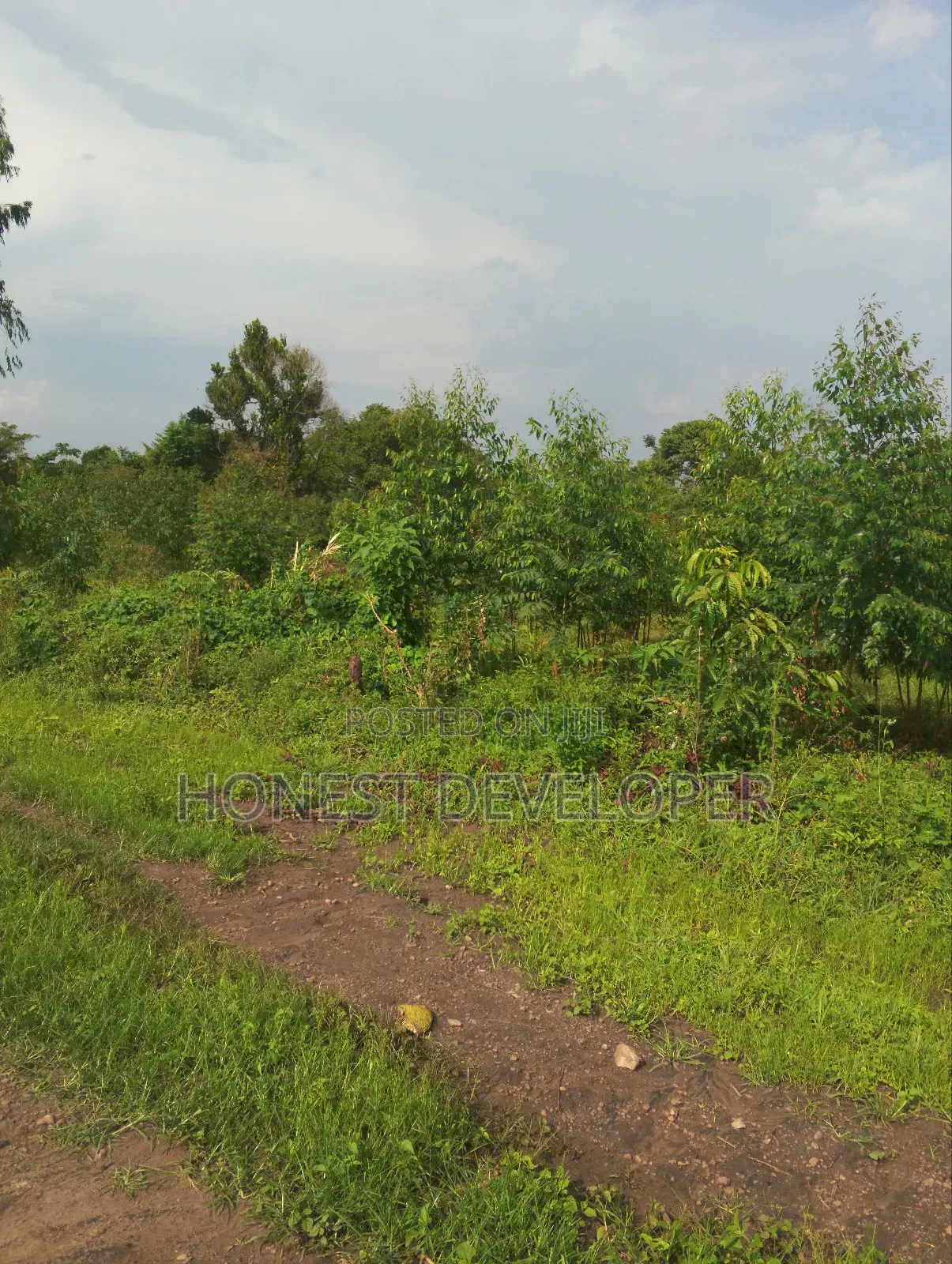 Land at Gobero Hoima Rd