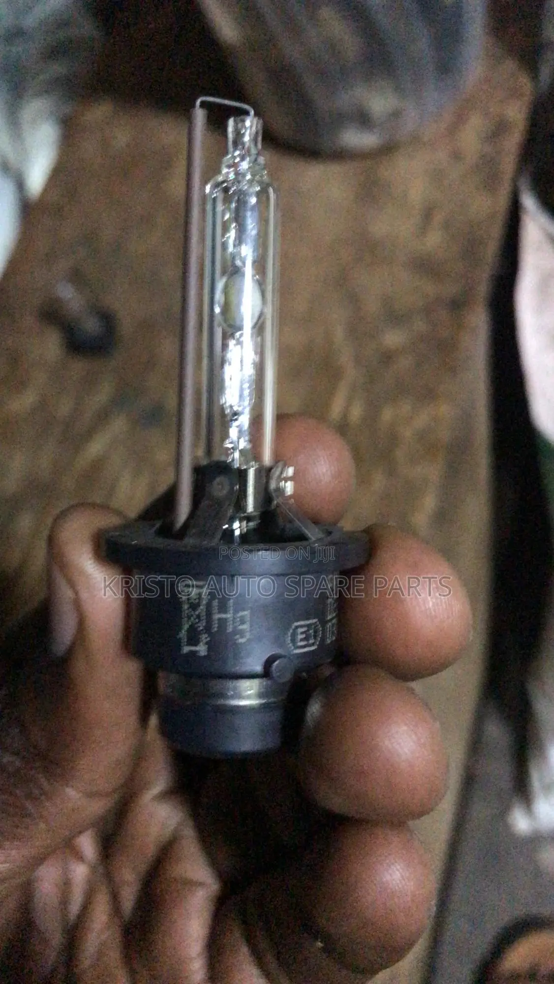D2 and D4 Bulbs