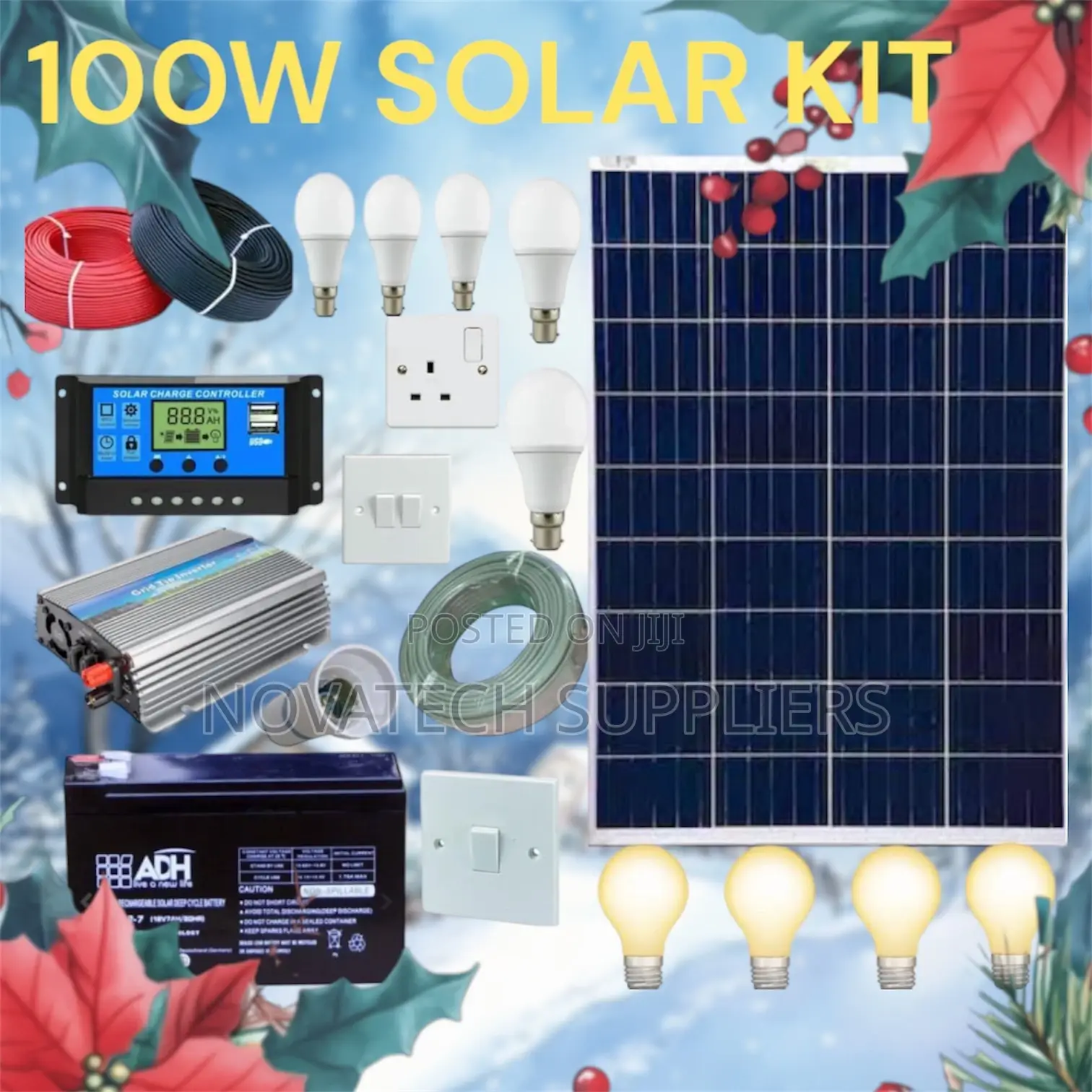 100W Solar System Full Kit