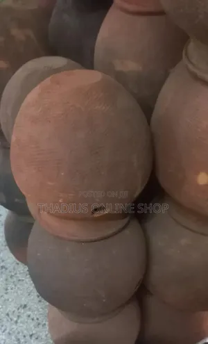 Medium Pots That Provide Chick's With Warmth