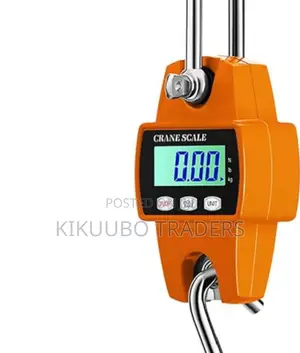 200kg Digital Metal Hanging Scale