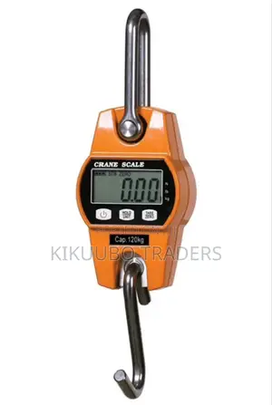200kg Digital Metal Hanging Scale