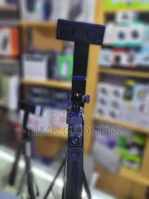 Selfie Stick C12