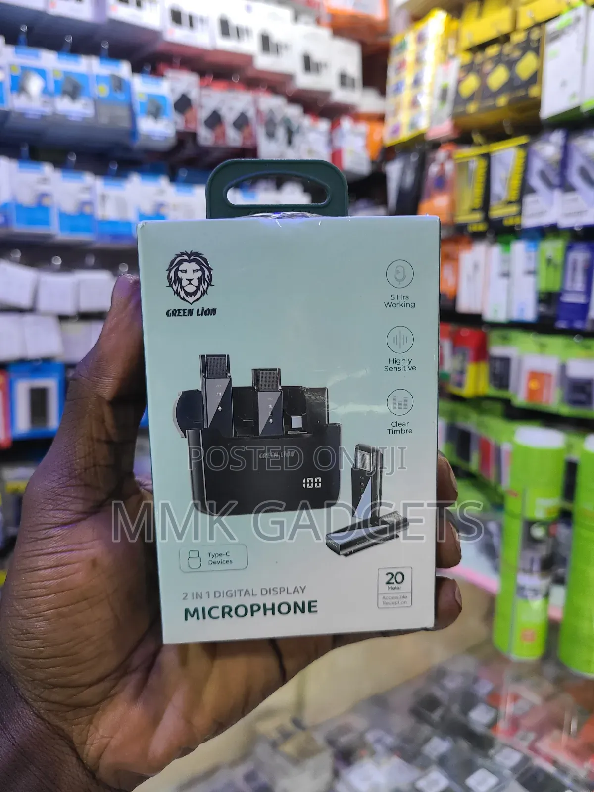 Greenlion 2 in 1 Microphone