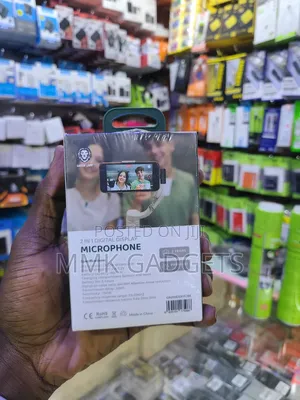 Greenlion 2 in 1 Microphone