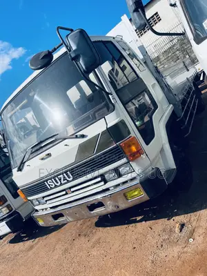 Isuzu Truck. Double Light 1998 White