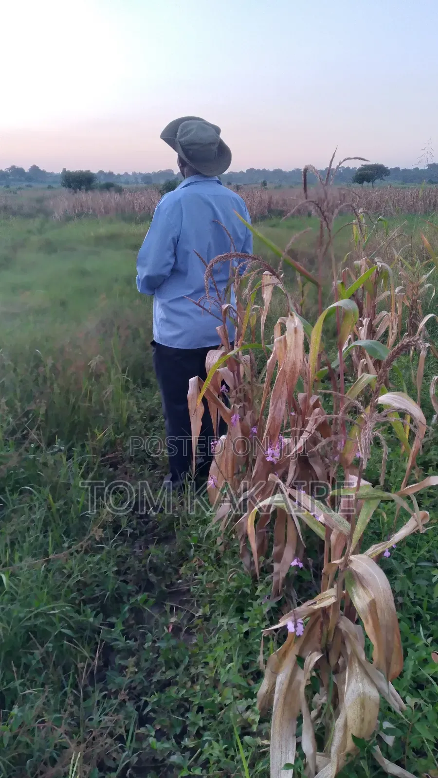 Land for Renting or Selling Fertile With Source of Water