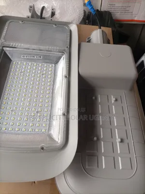 Precious Light 300w