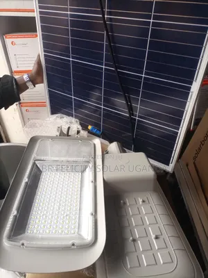 Precious Light 300w