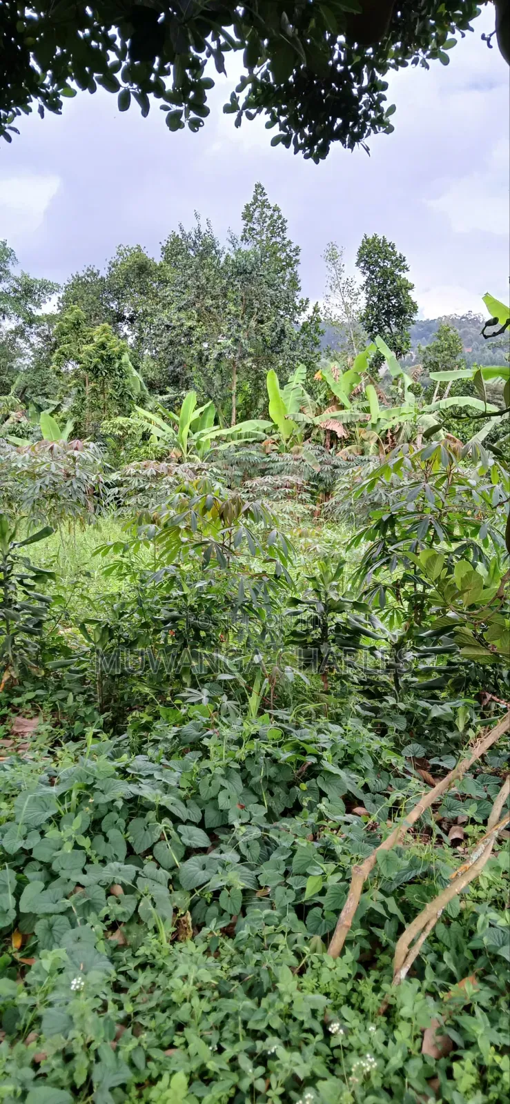 Plot for Sale in Gayaza
