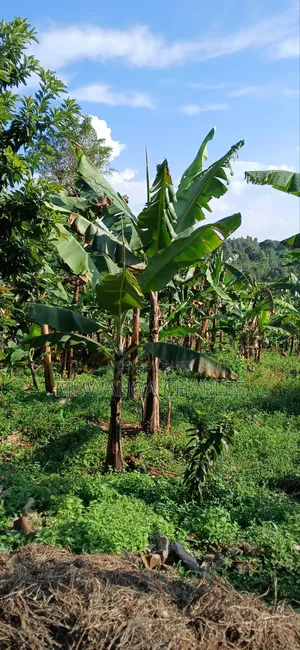 Plot for Sale in Gayaza