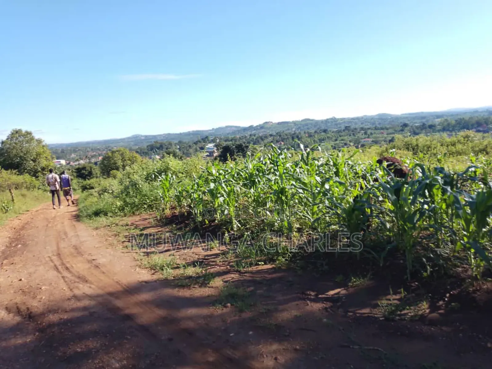 Plot for Sale in Gayaza