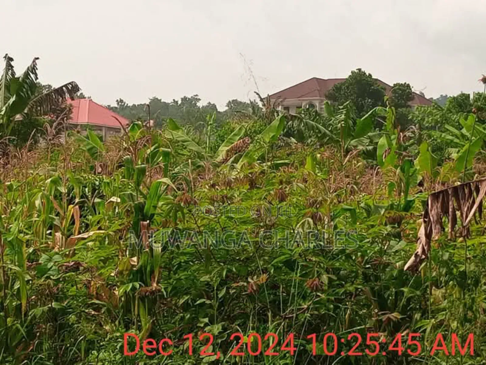 Plot for Sale in Namugongo
