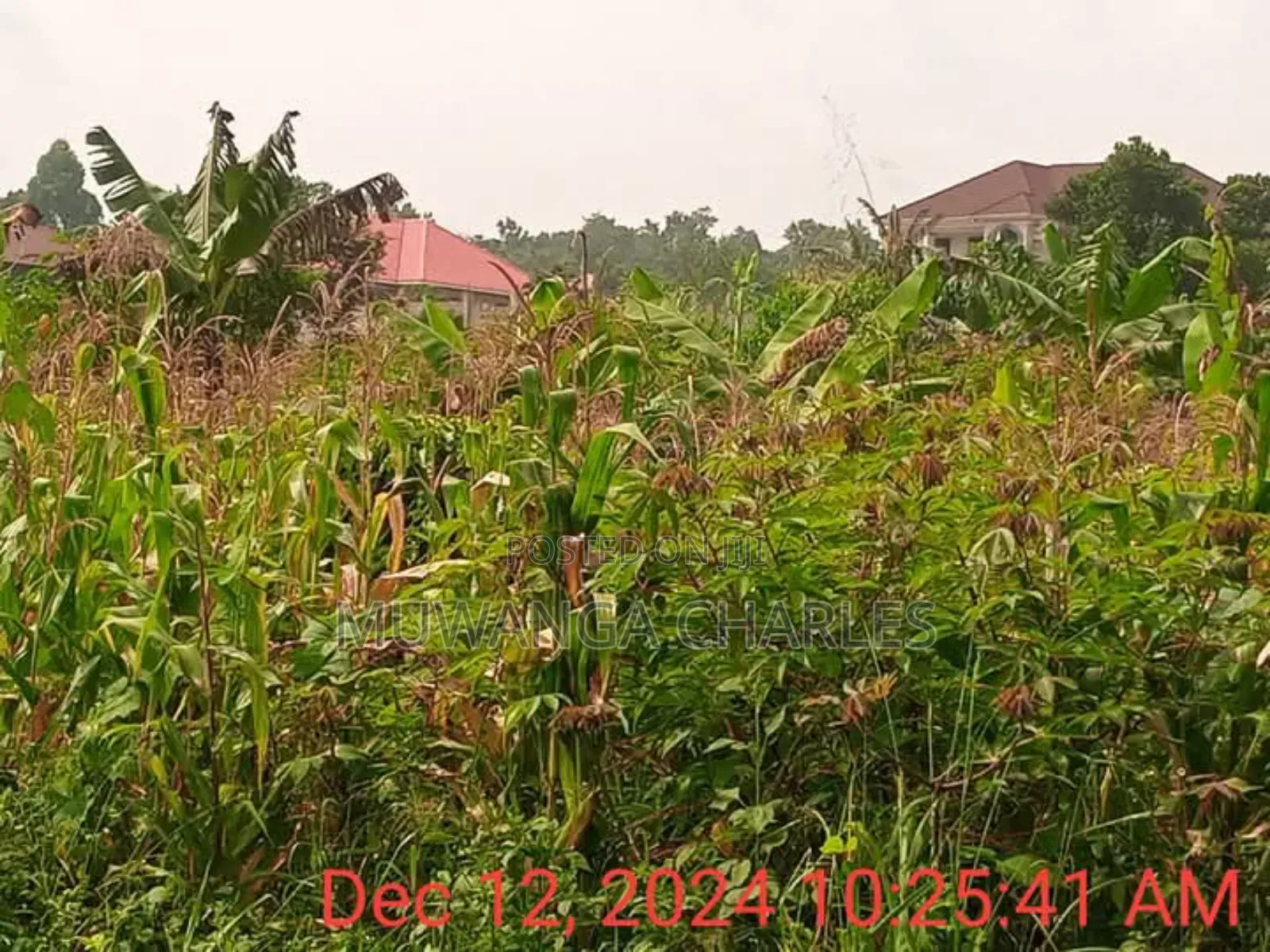 Plot for Sale in Namugongo