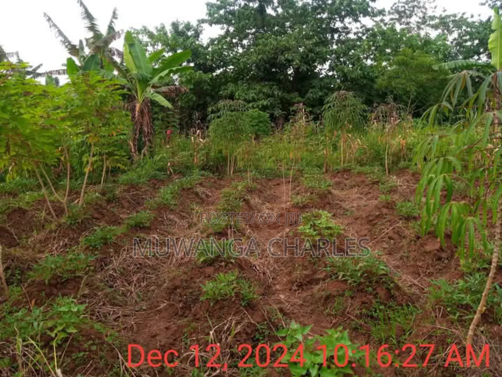 Plot for Sale in Namugongo